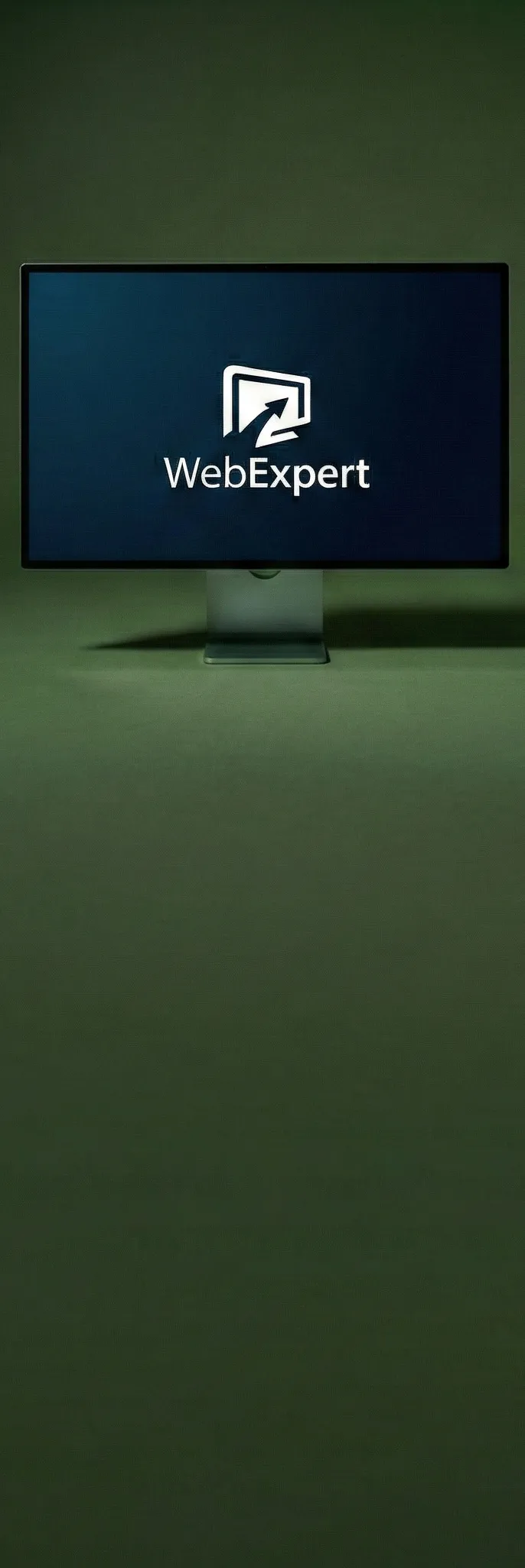 O Web Expert O Web Expert